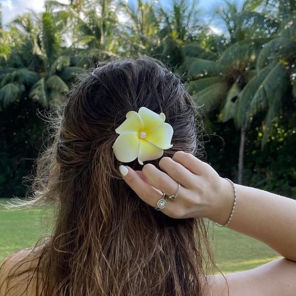 Meet your Posher, Roya - Picture 1 of 1